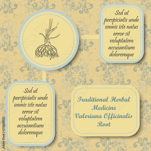 Retro Style Inforgraphic Board for Herbal Medicine