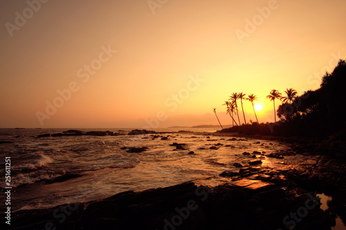Tropical Orange Sunset Palm Silhouette Landscape. Sri Lanka Beach © glazunoff