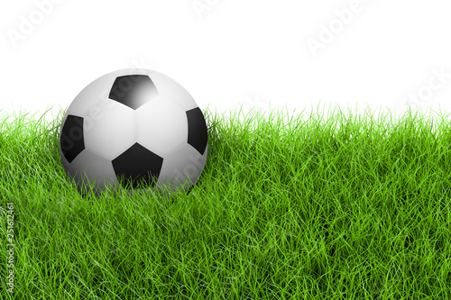 Football Soccer Ball on Green Grass Field