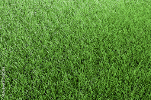 Green Grass Full Ground Texture