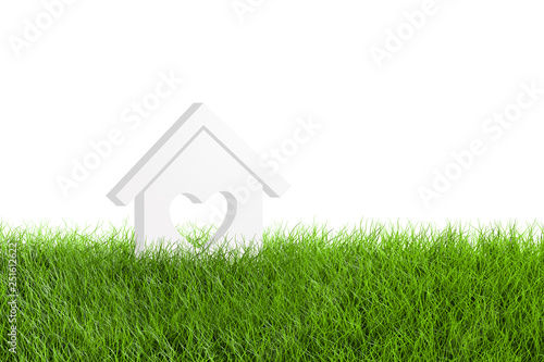 House Model Icon with Heart Shape on Green Grass Field