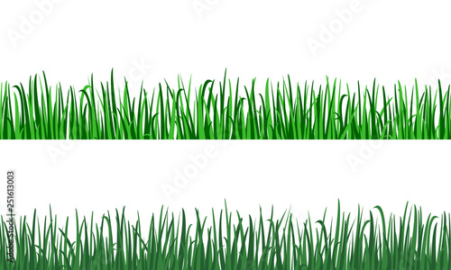 Green grass vector pattern.
