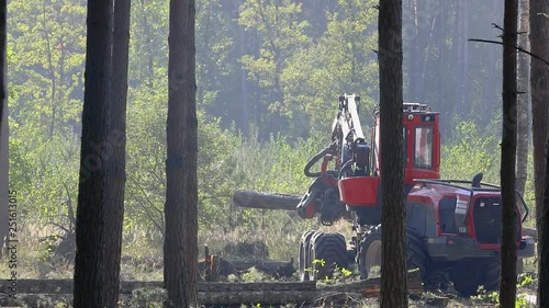 Forest cutting, logging, wood harvestr, timber harvester, forest cutting with special equipment photo