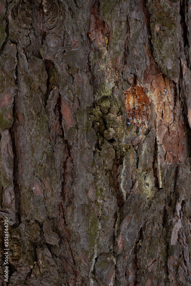 photography background wood photography background wood