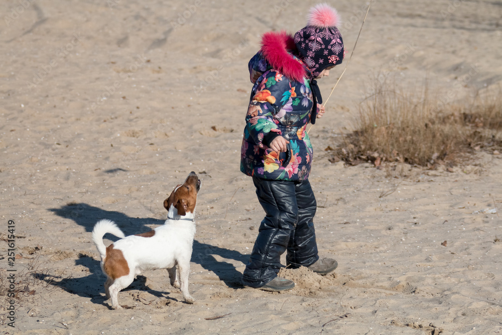 little girl in hat and jacket in the winter plays on the beach on the sand with a Jack Russell breed dog
