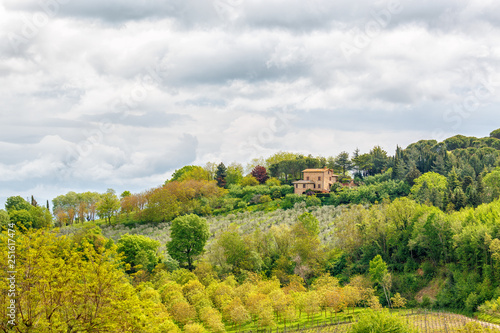 Fototapeta Naklejka Na Ścianę i Meble -  Fruit tree cultivation with a farmhouse in Tuscany