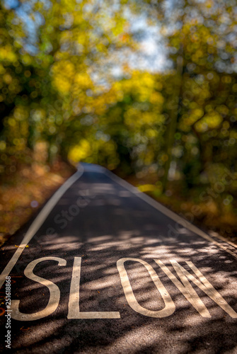 Slow Sign Painted in the Road on a Country Lane, Essex, Britain - 2011