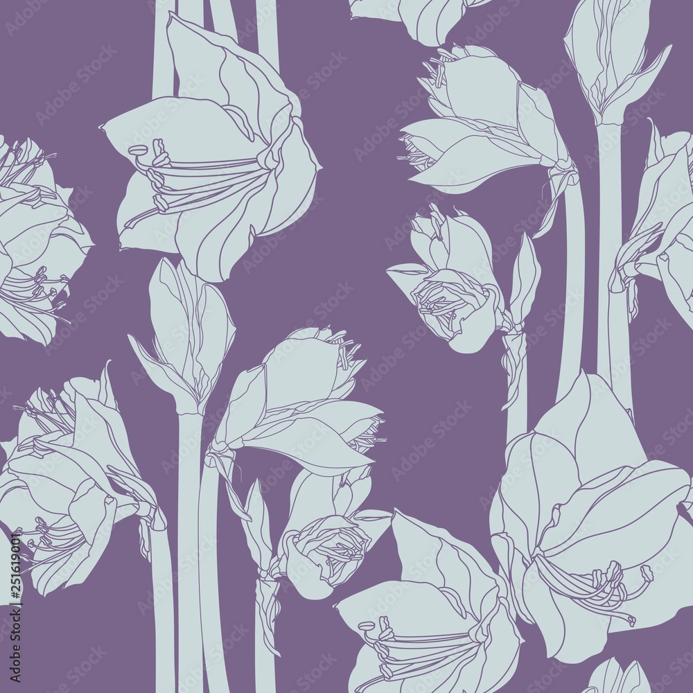 Fototapeta premium Hippeastrum lilly blooming flowers seamless pattern. Grey line flowers on violet background.