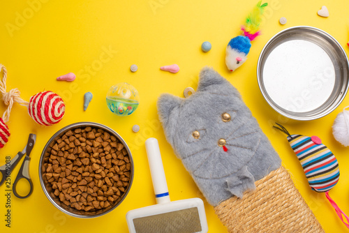 Zoomarket and pet store.Cat background, with cat accessories on a yellow background. Cat. photo