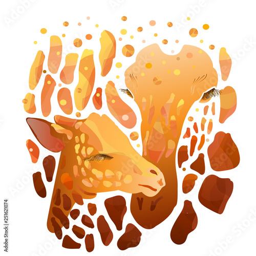 Photography giraffe giraffes T-shirt graphics fashion yellow orange brown white background