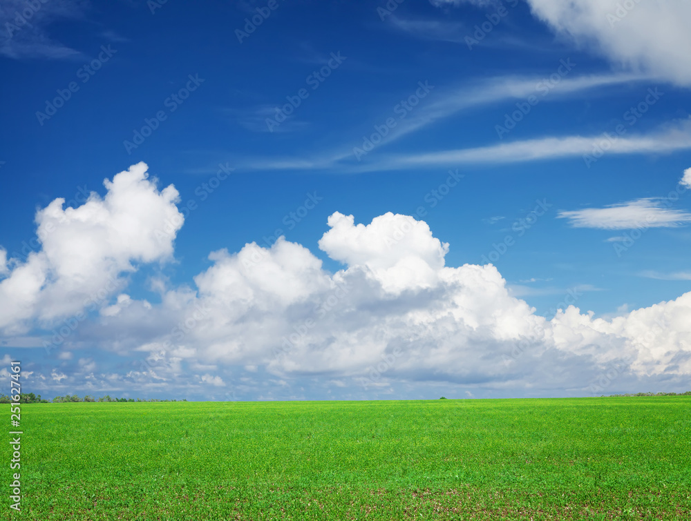 Green grass field and blue sky Green grass field and blue sky
