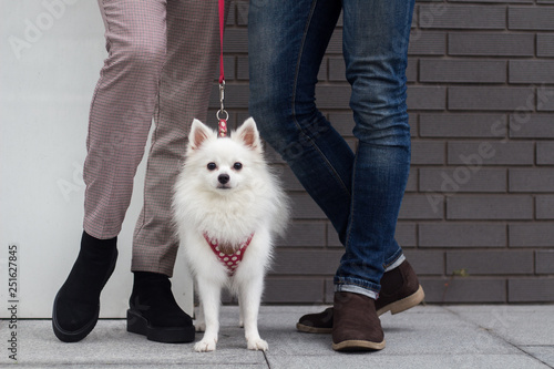 Dog standing by people's legs