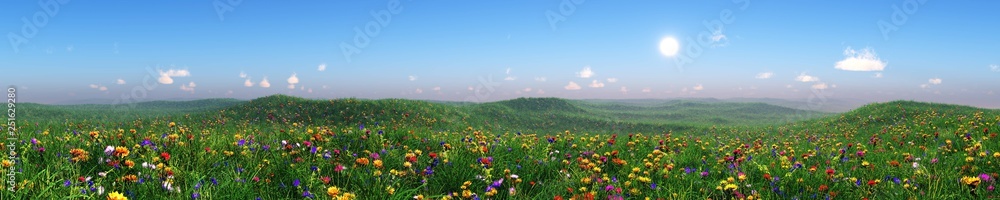Panorama of a flower meadow, flower hills view, grass and flowers under a blue sky, flowering slope under the sun, hills in flowers, green hills with flowers