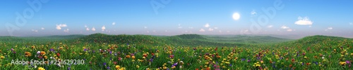 Panorama of a flower meadow, flower hills view, grass and flowers under a blue sky, flowering slope under the sun, hills in flowers, green hills with flowers