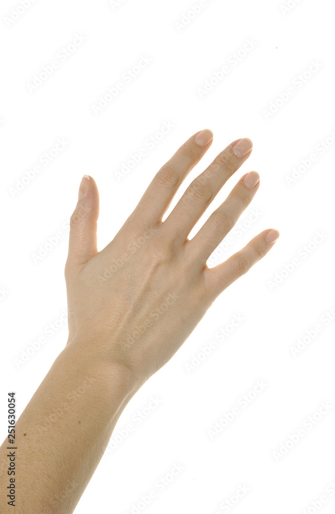  image on white background of different positions of a hand