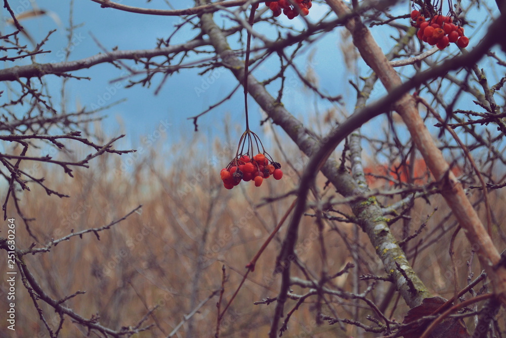 Processed with VSCO with  preset