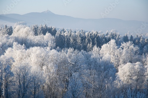 A cold winter day and frost on trees