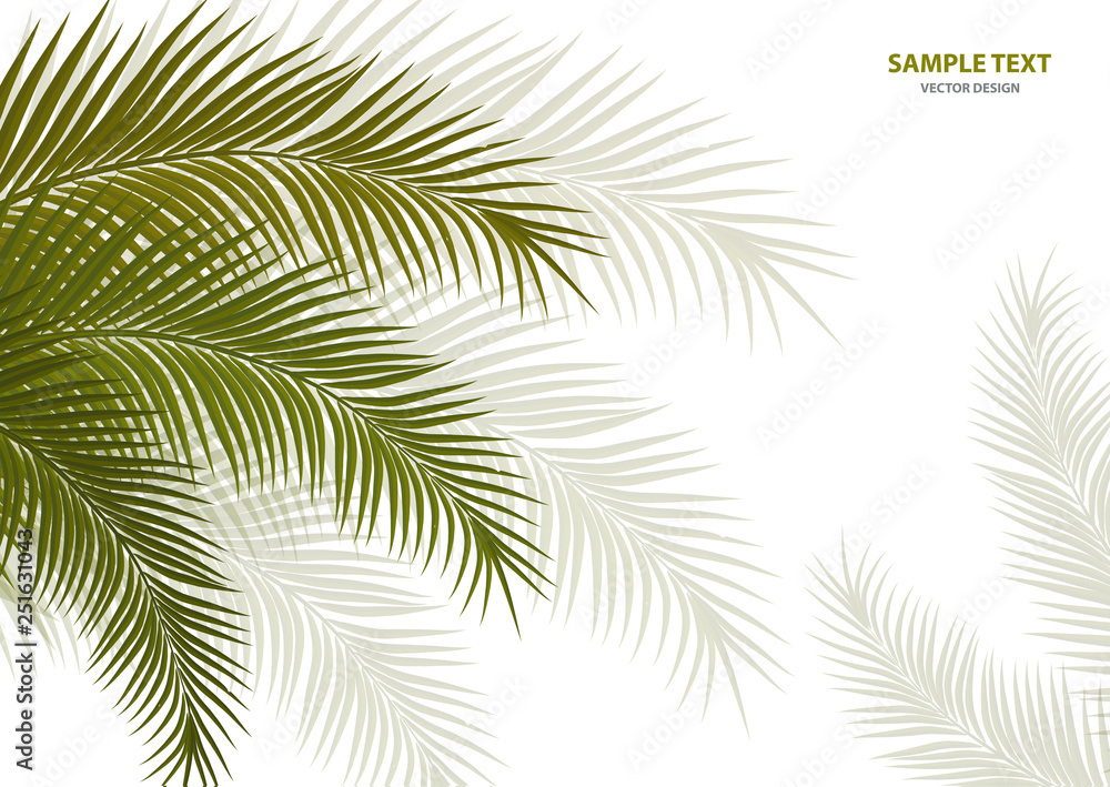 Fototapeta premium Tropical background. Realistic palm tree leaves. Exotic beauty for travel Design, promotion and marketing. Vector illustration - Vector graphics
