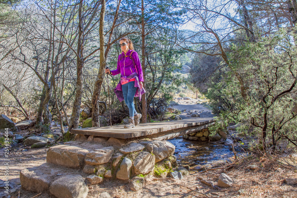 Naklejka premium hiker woman with purple jacket crossing a wooden footbridge over a stream, in a forest of Pedriza Mountain (Madrid, Spain)