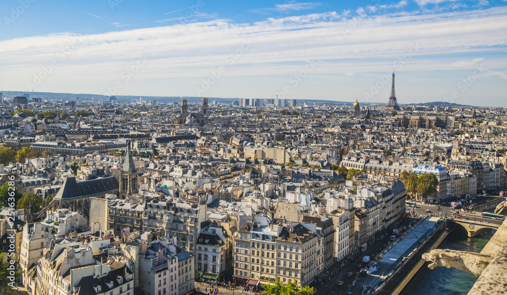 PARIS, FRANCE - 02 OCTOBER 2018: View on Paris from roof of Notre Dame cathedral