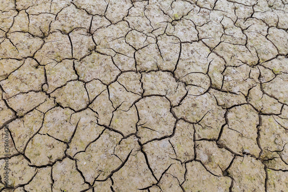 cracked earth, texture, Image of drying mud which can be used as background or pattern. cracked earth, texture, Image of drying mud which can be used as background or pattern.