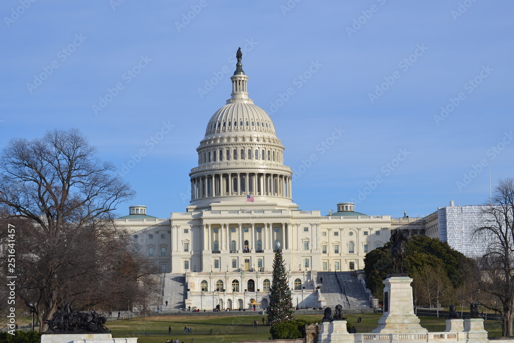 Fototapeta premium us capitol 