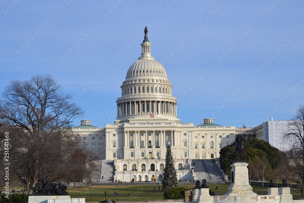 Fototapeta premium united states capitol building in washington dc