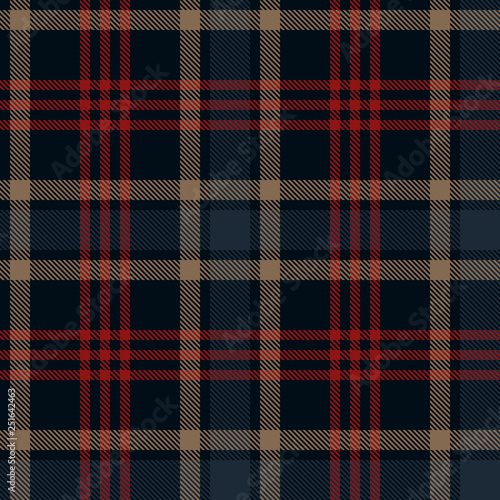 Seamless plaid pattern in stripes. Checkered fabric texture print. Vector photo