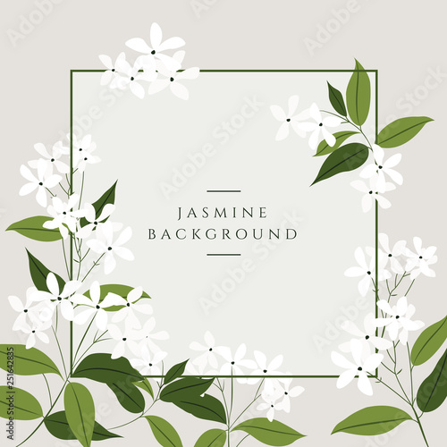 Tableau sur toile Vector jasmine flower banners