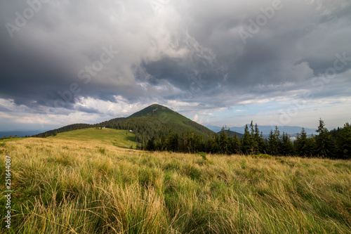 Panoramic summer view, green grassy valley on distant woody mountains background under cloudy sky. photo