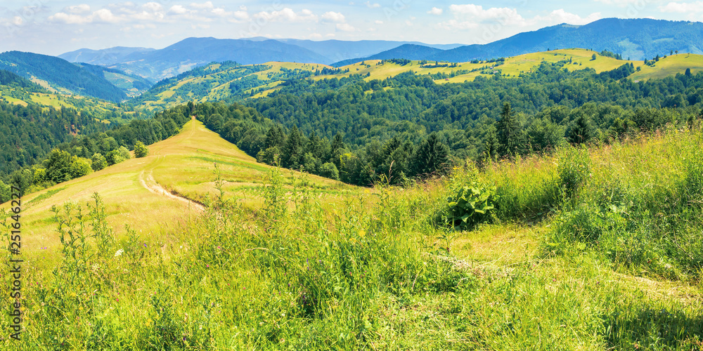 mountainous countryside on a hot summer afternoon. panoramic landscape, path through grassy slope. meadows on the distant rolling hills. village in the far away valley. sunny weather