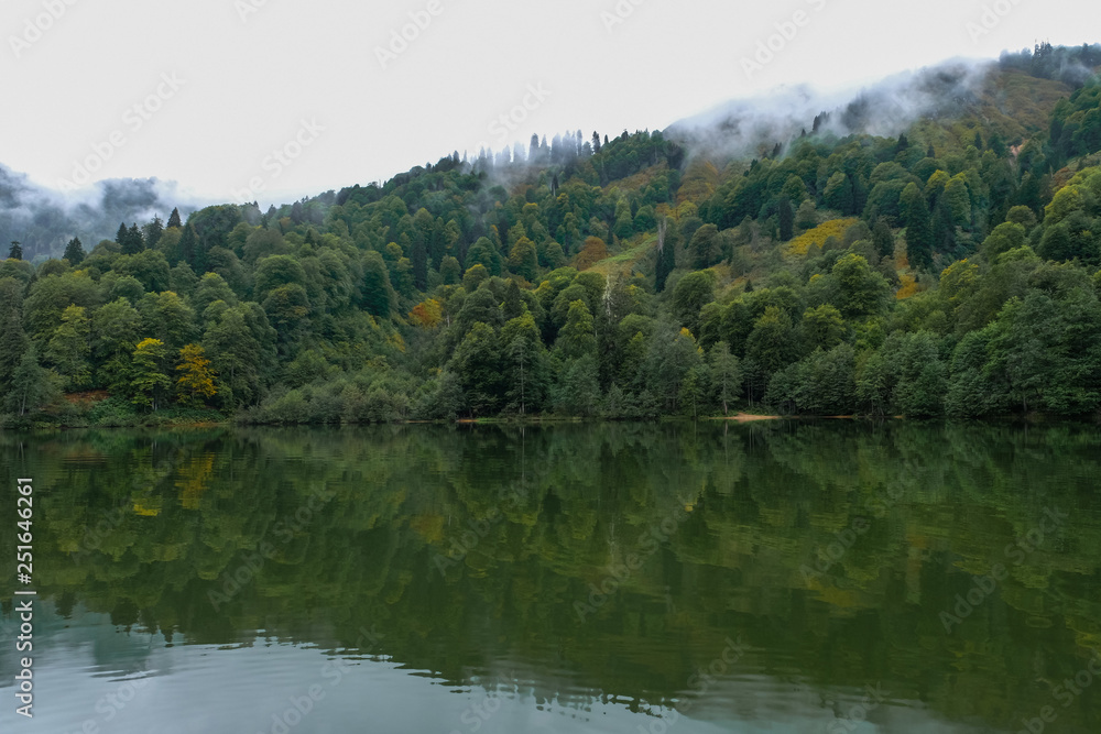 lake and misty forest in mountains in a rainy day