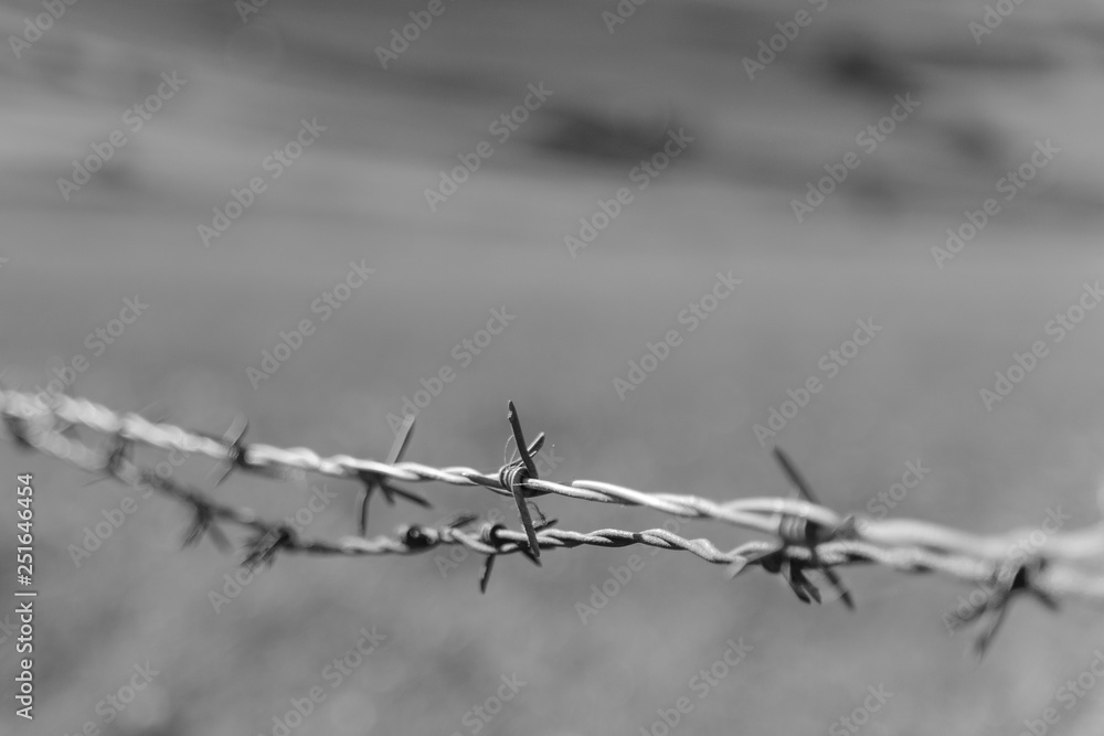 Black and white close up of a barbed wire with blurred background. Landscape format. Black and white close up of a barbed wire with blurred background. Landscape format.