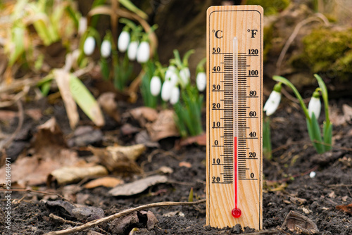 wooden thermometer outside temperature