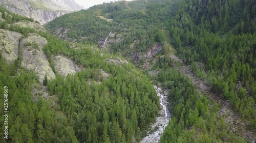 DRONE NATURE GREEN TREES 4K