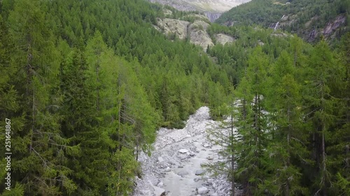 DRONE NATURE GREEN TREES 4K