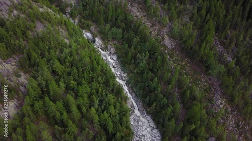 DRONE NATURE GREEN TREES 4K