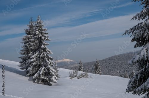 Fototapeta Naklejka Na Ścianę i Meble -  Beskid Żywiecki 2019
