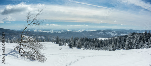 Fototapeta Naklejka Na Ścianę i Meble -  Beskid Żywiecki 2019