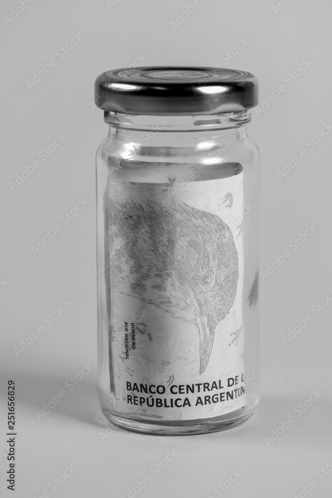 Savings in Argentine pesos Savings in Argentine pesos