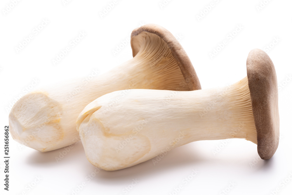 King oyster mushroom on white background. King oyster mushroom on white background.