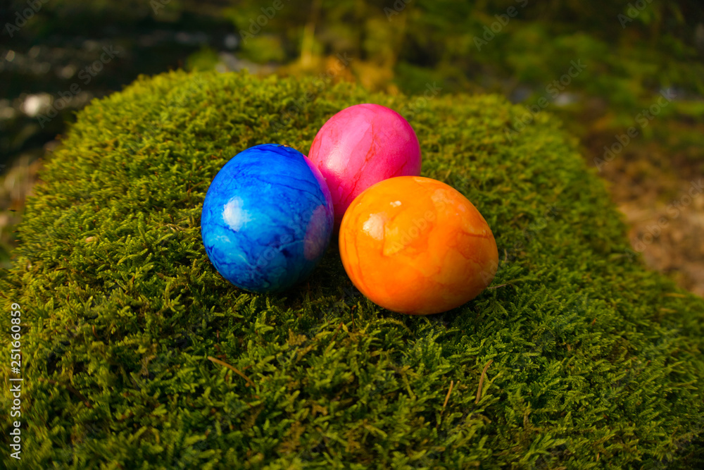 Bunte Ostereier im Gras Bunte Ostereier im Gras