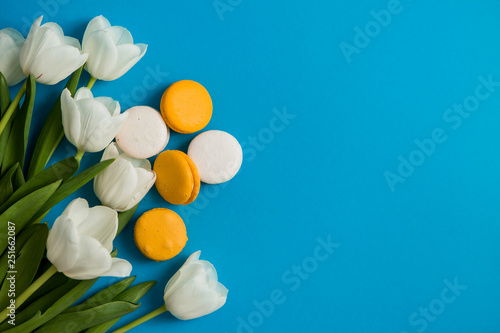 white tulips and yellow macaroons on blue background. flat lay, copy spase