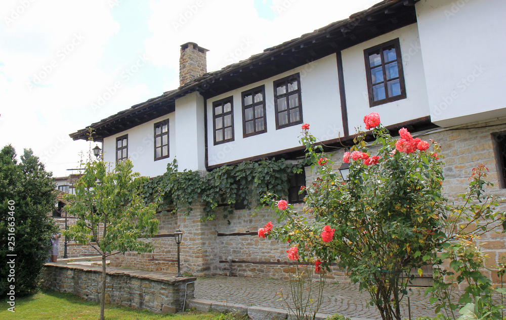 Roses blooming in Tryavna (Bulgaria)