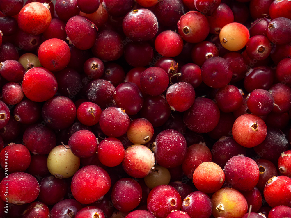 Cranberry. Cranberry background. Food background. Cranberry. Cranberry background. Food background.