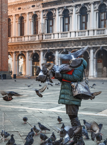 Piazza San Marco, Venice, Italy, pigeons