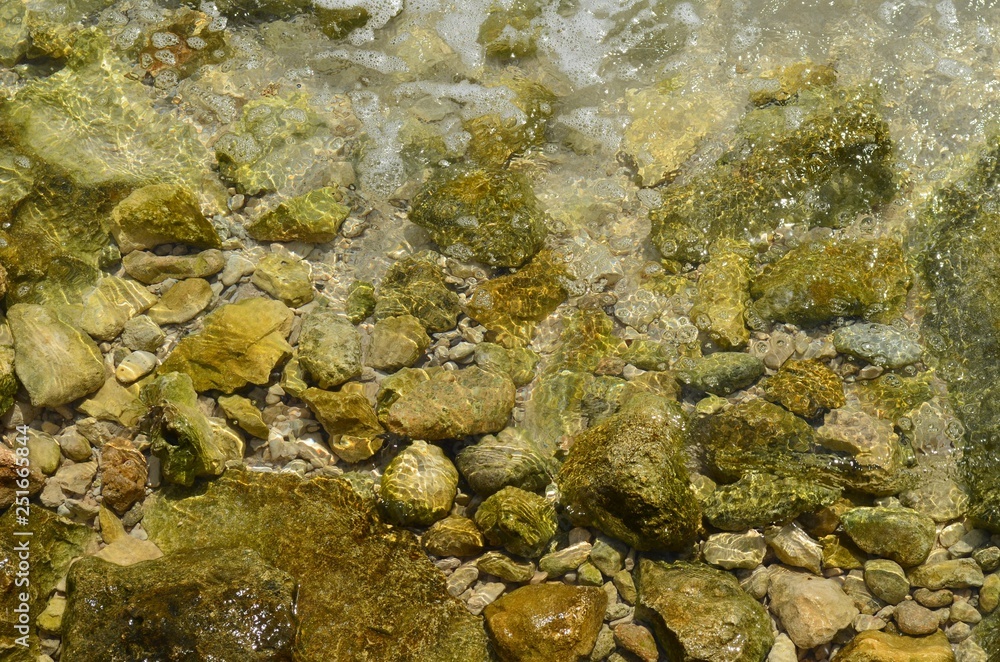 shallow water background