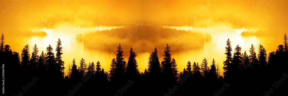 Forrest in Autumn with Mist and Sunlight Forrest in Autumn with Mist and Sunlight