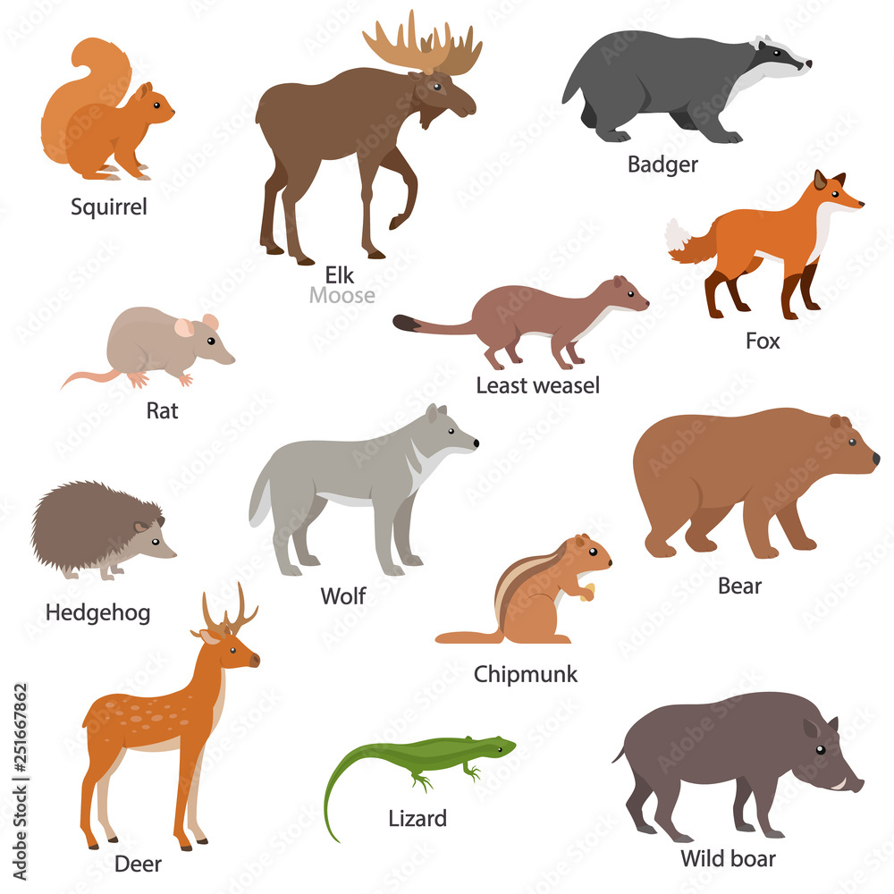 Eurasian animals set with titles. Wildlife of Eurasia. Squirrel, chipmunk, elk, badger, fox, etc. Collection of different species of animals. Isolated vector illustration