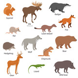 Eurasian animals set with titles. Wildlife of Eurasia. Squirrel, chipmunk, elk, badger, fox, etc. Collection of different species of animals. Isolated vector illustration